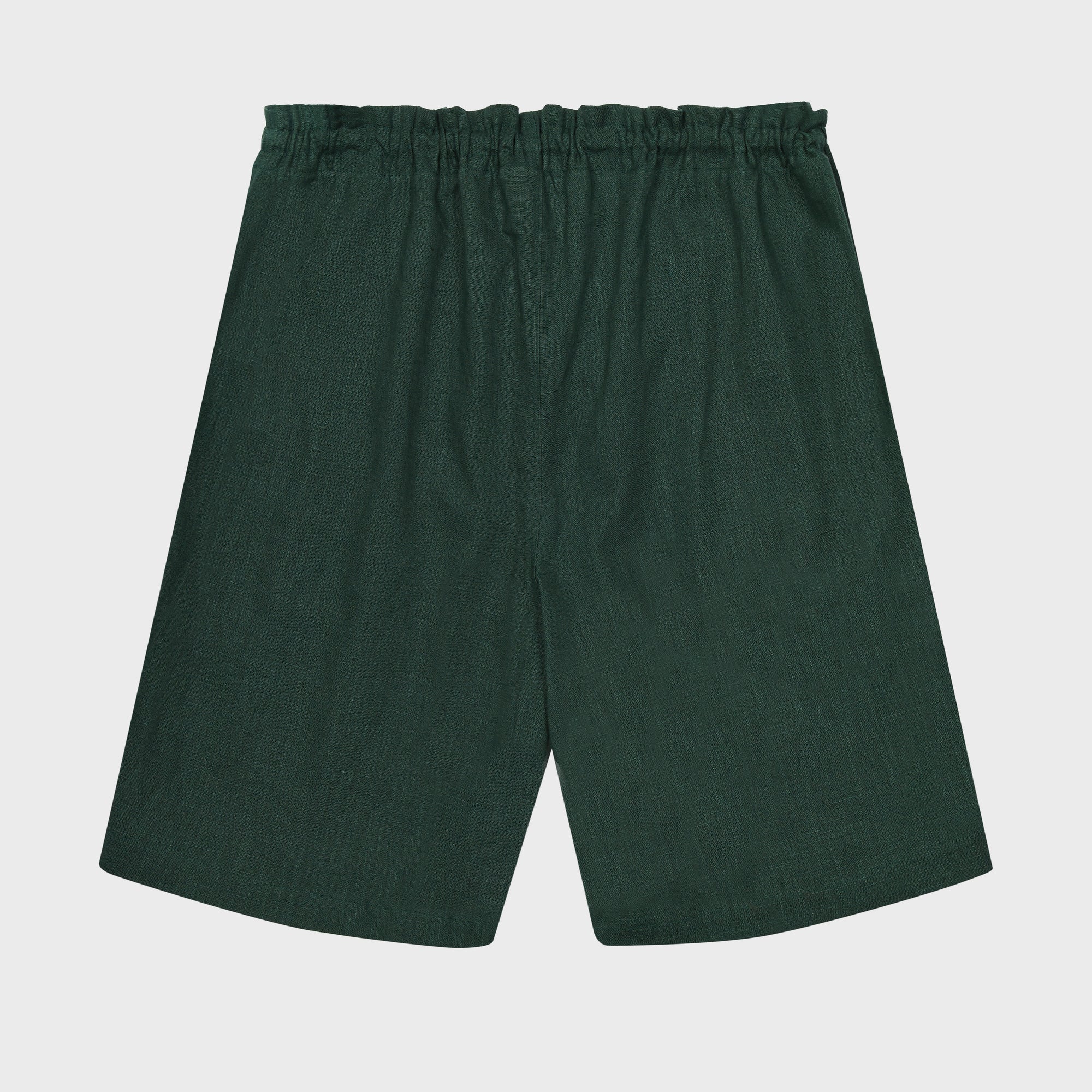 Woven Linen Shorts (Up 'n' Down)